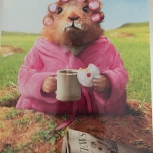 Meet your Posher, Sylvia